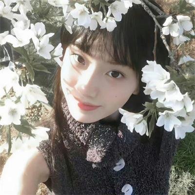 模特儿凶杀案